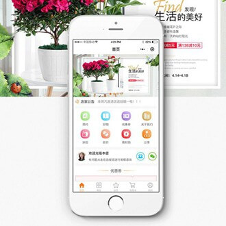 黄石港门店微商城小程序开发