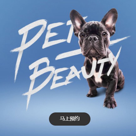 黄石港宠物中心小程序开发