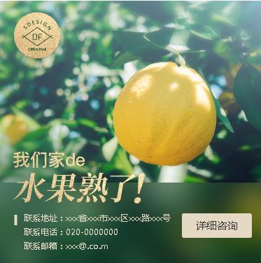 黄石港果园果林小程序开发